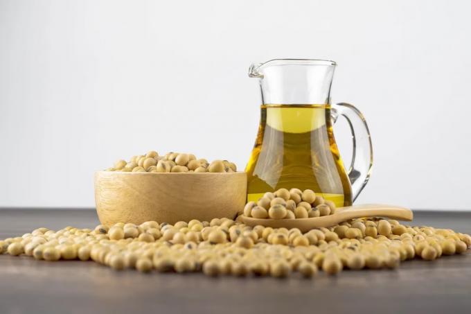 Se recomponen los márgenes de molienda para la industria aceitera