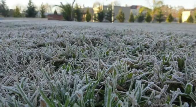 Increíble pero real: Se viene un helada en pleno mes de febrero con el ingreso de una ola polar