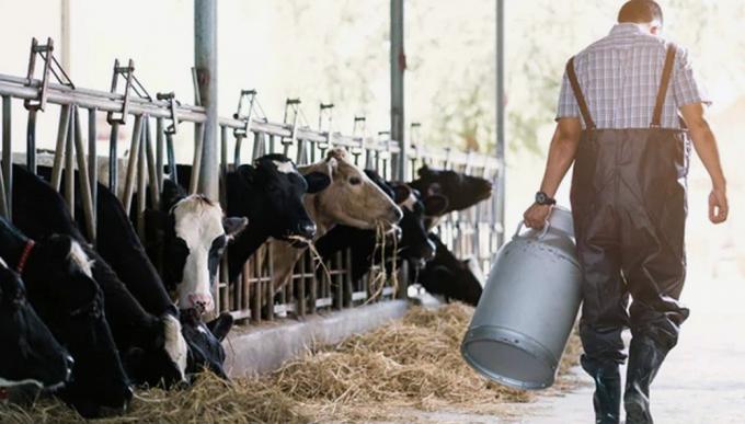 Una foto que engaña: la producción de los tambos subió en enero, pero afirman que volverá a caer