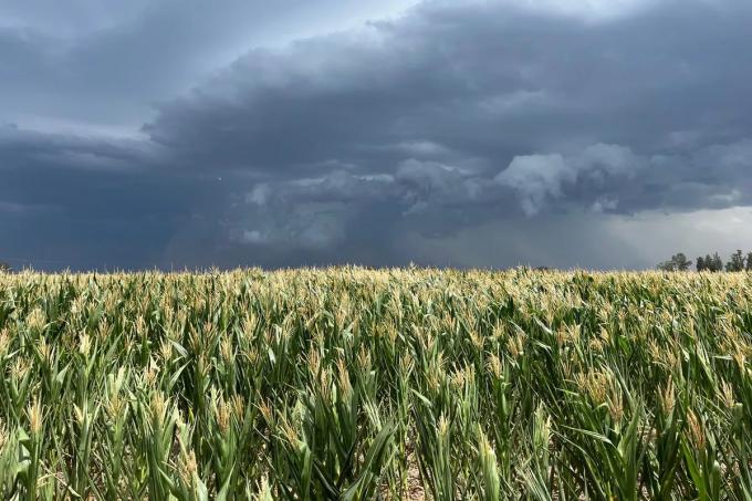  Se retira La Niña y prevén una lenta normalización de las lluvias