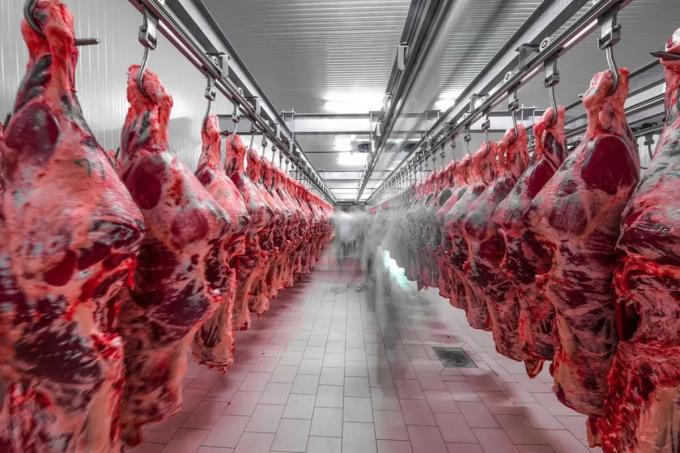 Vaca loca el caso en Brasil abre una oportunidad para las exportaciones argentinas de carne vacuna