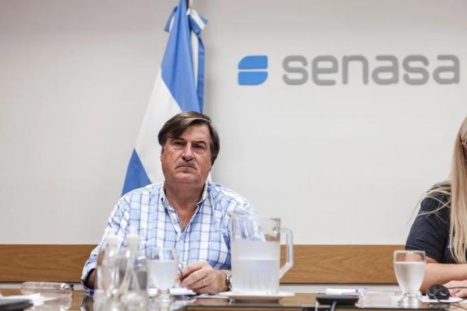 Gripe aviar en el Senasa hablan de una falla de bioseguridad por el caso en una granja y explican cómo eliminarán pollos