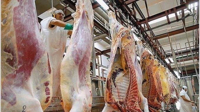La faena vacuna se mantuvo alta durante febrero gracias a la sequía mientras aumenta la salida de vacas de los campos