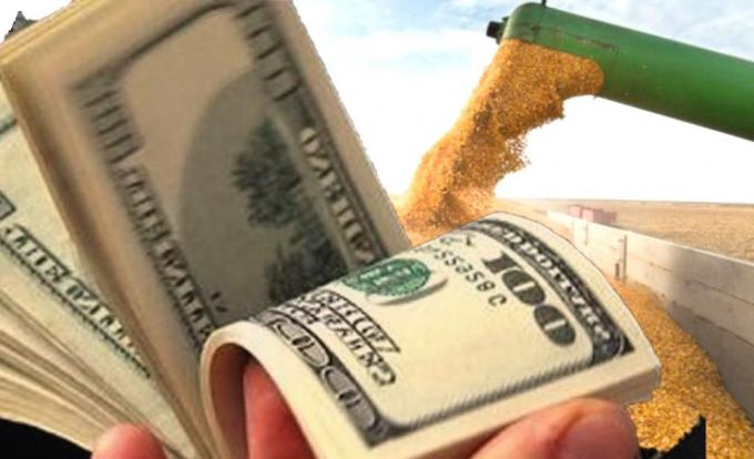Fuerte impacto las liquidaciones de divisas del agro cayeron un 74% en febrero