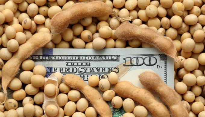 Cálculo de la Sociedad Rural los dólar soja tuvieron el mismo costo fiscal que bajar a la mitad las retenciones
