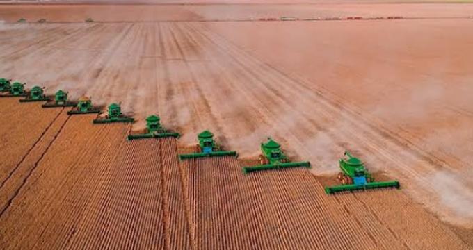 Se desacelera el ritmo de las ventas de soja en Brasil ante la presencia de precios que no convencen a los productores