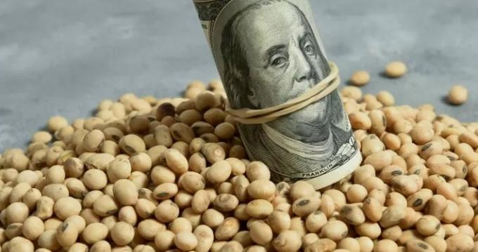 Un 63% de la soja vendida el último mes se hizo con precio a fijar a la espera de un nuevo dólar soja