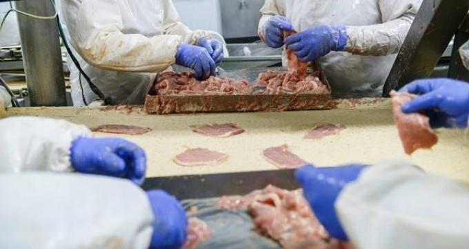 La faena y la producción de carne porcina fueron récord en 2022