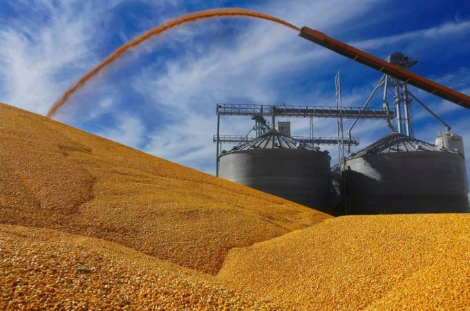 El Gobierno intervino en el mercado de maíz con una prórroga de las exportaciones y recibió duras críticas