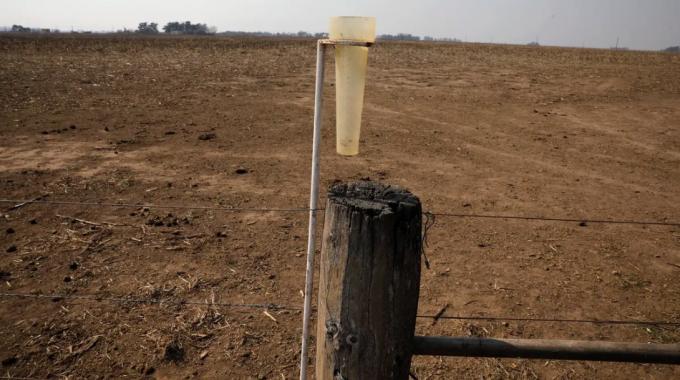 El año en que el campo no podrá ayudar a salir de la crisis y el factor que abre una esperanza.