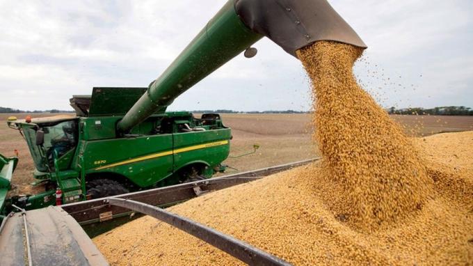 Las compras de soja para la exportaciónse redujeron 85%