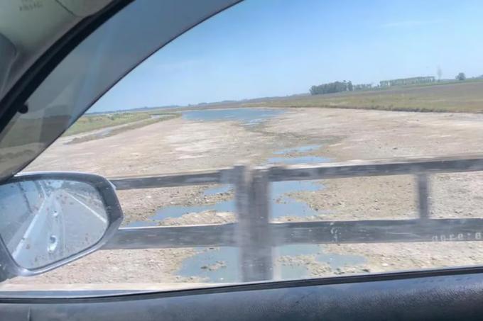 La imagen estremecedora en un histórico río de Buenos Aires