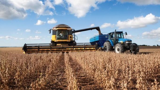Las primeras cosechas de soja en Santa Fe promedian los 500 kilos/ha