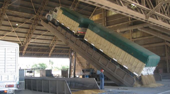 Estiman que la industria de la soja necesitará importar casi 10 mill/tn de porotos