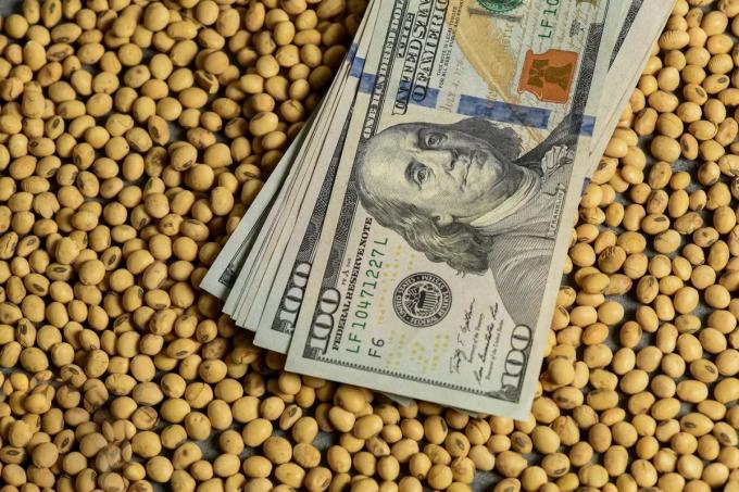 El Gobierno propuso un tipo de cambio a $300 para la soja del dólar agro