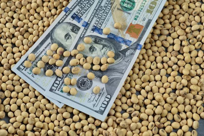 Con escasas operaciones, el dólar soja no remonta la calma del mercado local de granos