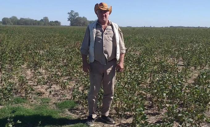 “Es una catástrofe”. Empezaron a cosechar y se encontraron con algo peor a lo esperado