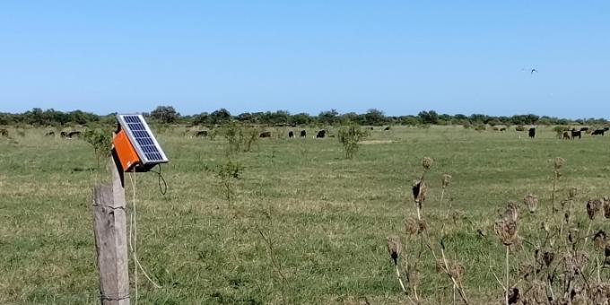El caso Boomitra: ¿Cómo funciona la plataforma que aspira a medir y vender los primeros bonos de carbono de la ganadería argentina?.