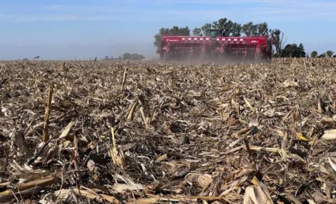 En abril llovió un 70% menos y puso en duda al trigo: el 60% de los productores tiene una baja intención de siembra