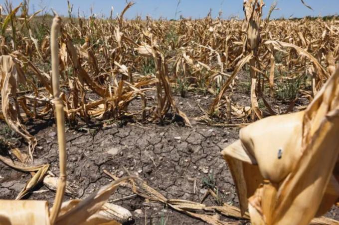 La provincia pierde u$s 5.100 millones por la sequía
