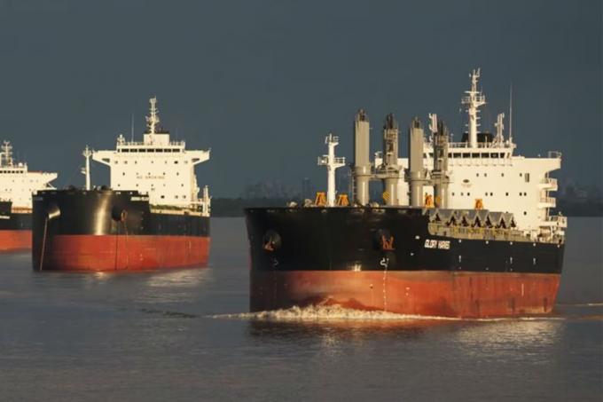 Los exportadores calcularon que no entrarán US$18.777 millones y prevén la menor molienda de soja en 18 años