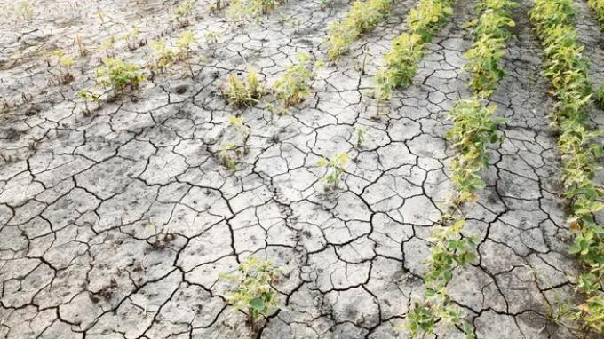 Emergencia agropecuaria por la sequía: las nuevas normas no parecen suficientes