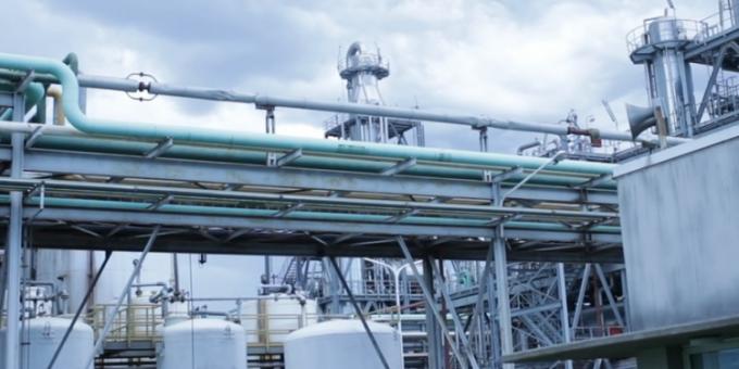 La molienda de soja en la Argentina registrará en 2022/23 el nivel más bajo de las últimas dos décadas a pesar de las importaciones récord