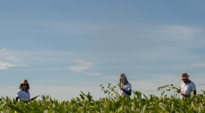 La corporación política argentina sigue subsidiando al agro brasileño a costa de un desastre social interno