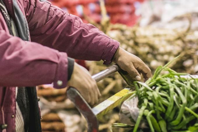 No mueven el índice de inflación: importadores de alimentos criticaron una medida de Massa