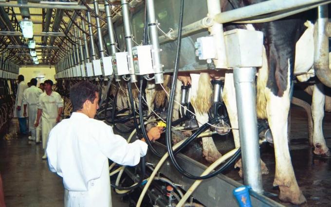 La actividad lechera resiste por ahora, en un mercado bajo presión