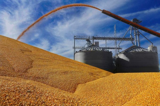 Se aprobó un protocolo para que la Argentina pueda exportar maíz a China