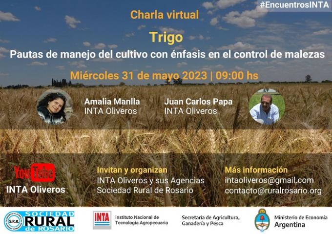 Charla Virtual TRIGO. Pautas de manejo del cultivo con énfasis en el control de la malezas.