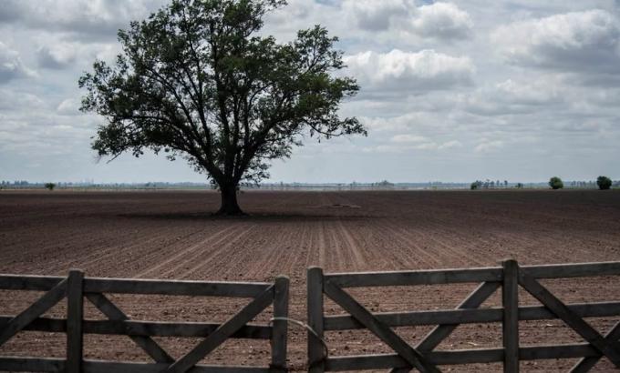 Activo, pero selectivo. La sorpresa que refleja el mercado de campos en pleno año electoral