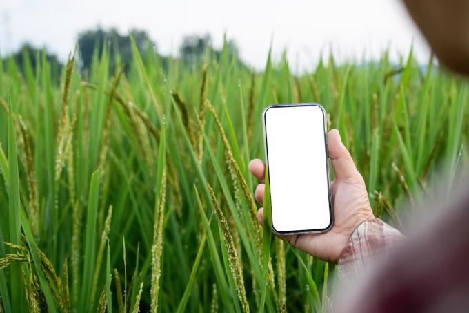 Internet: mejoró la conectividad en las zonas rurales, pero hay fuertes brechas con las ciudades