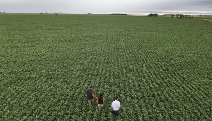  La agricultura de precisión, en el camino hacia cuadruplicarse en los próximos cinco años