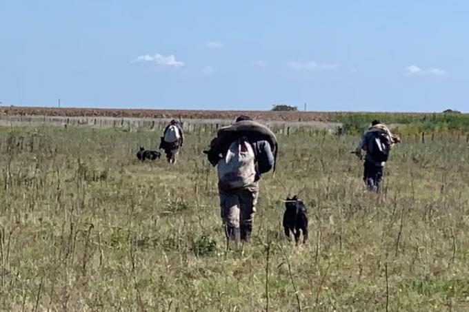 Denuncian una grave inseguridad en campos de un partido bonaerense