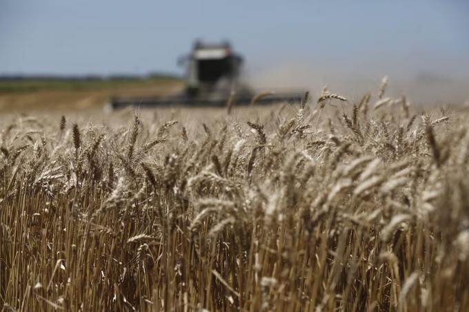 Una gran apuesta suben los precios para alquilar campos por las expectativas con un nuevo gobierno