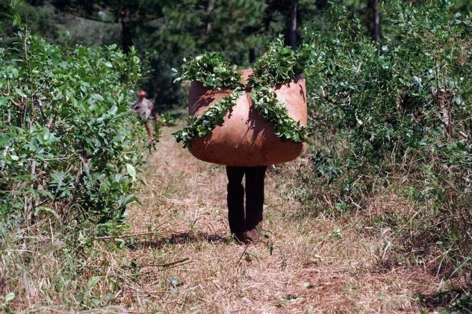 Misiones sancionó una ley que prohíbe el uso del glifosato