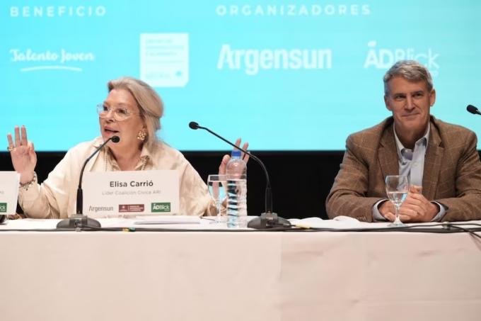 La Argentina se cae. Elisa Carrió explicó por qué el próximo año se puede hacer una baja acotada de las retenciones a la soja