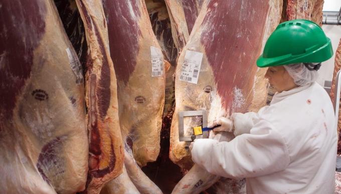 La faena bovina creció 13% en el primer semestre y fue la más alta en 14 años