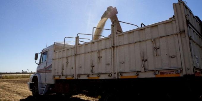 De cuánto fue el rinde promedio de la soja en la peor sequía de la historia Como pista, hubo que cosechar 20 hectáreas para llenar un camión