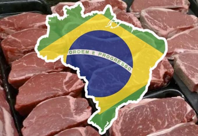 Brasil es el país de la carne. Este año se quedará con el 25% del comercio mundial de carne vacuna, el 35% de las exportaciones de pollo y sus embarques de cerdo crecerán un 8%