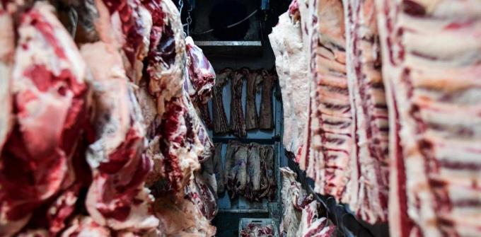 Alarma. Siguen cayendo los valores que paga el principal mercado de la carne vacuna