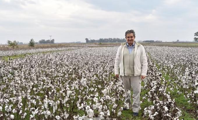 Fue uno de los pioneros de la soja y cuenta su novedad en plena provincia de Buenos Aires