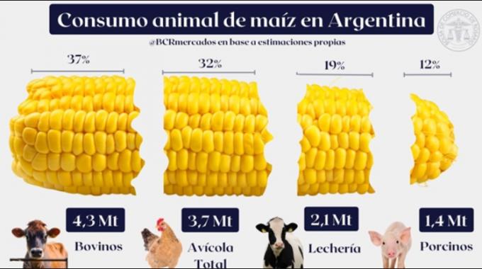 El consumo estimado de maíz 2022/23 para forraje se ajusta a 11,5 Mt