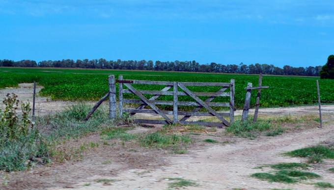 Inmuebles rurales: julio confirmó el repunte que viene mostrando el mercado