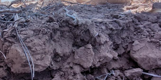 Proyectan que la esperada recomposición hídrica no llegará a producirse durante el comienzo de la siembra gruesa en el centro del país