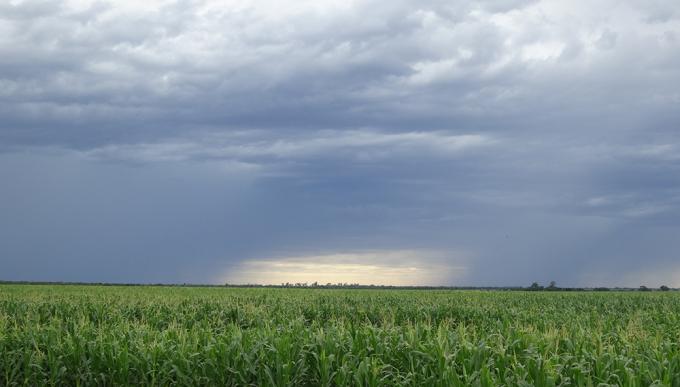 Otra semana con lluvias escasas