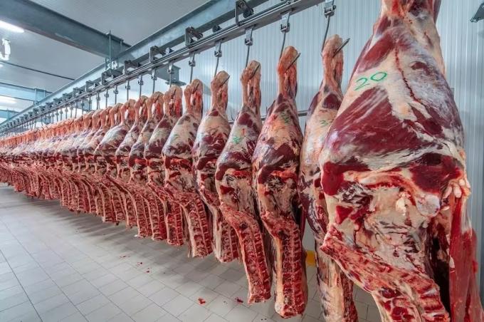 El Gobierno dio marcha atrás con el cierre de las exportaciones de carne 