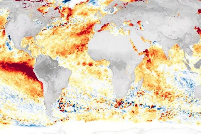 Lo salvó de un desastre. No falló Santa Rosa, comenzó El Niño y revivieron varias zonas agrícolas